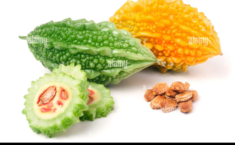 LES BIENFAITS DU MELON AMER