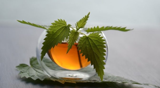 TISANE