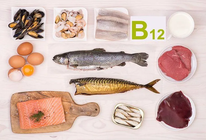 ROLE DE LA VITAMINE B12